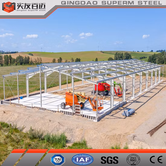 조립식 강철 구조물 아파트 건물 가격