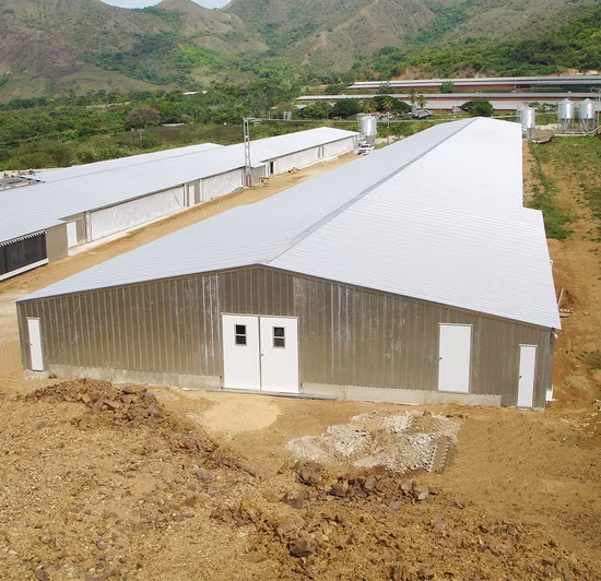 조립식으로 만들어진 가벼운 강철 창고 강철 건물 창고 창고 격납고 강철 구조물